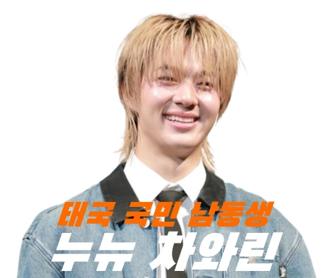 태국 국민 남동생 누뉴 차와린 프로필 수상 노래 작품활동 NuNew Chawarin