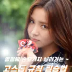 똥광구쌍피 알면 필승 고스톱 규칙 족보 룰 점수계산 3명 치는법