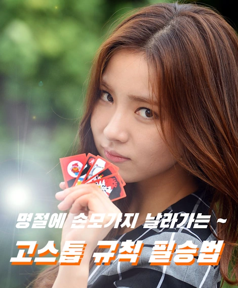 똥광구쌍피 알면 필승 고스톱 규칙 족보 룰 점수계산 3명 치는법