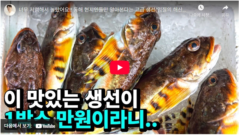 횟집 사장님도 모르는 대구횟대 먹는법(강철부대 나베코와시 토우베츠카지카) 나베코와시 대구횟대 토우베츠카지카