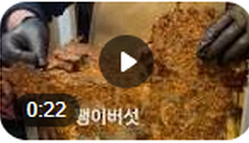 생각보다 맛있는 두쫀쿠 만들기 레시피 (+ 팽이버섯 팽쫀쿠 레시피 두바이 쫀득 쿠키) 팽이버섯 두쫀쿠 팽쫀쿠 레시피