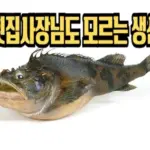 횟집 사장님도 모르는 대구횟대 먹는법(강철부대 나베코와시 토우베츠카지카) 횟집 사장님도 모르는 대구횟대 먹는법(강철부대 나베코와시 토우베츠카지카)