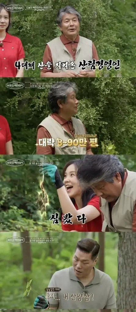 이웃집 백만장자 박정희 산양삼 & 4대째 82만평 전 산림경영인협회장 (트리하우스 캠핑장) 이웃집 백만장자 산양삼 박정희 산림경영인